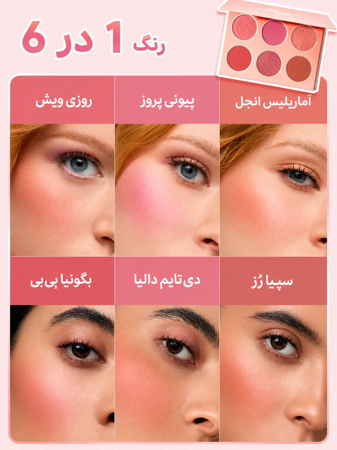 نمایش پالت رژگونه FLORAL شیگلم با شش رنگ و نمونه آرایش گونه در سه ردیف برای جلوه‌های متفاوت